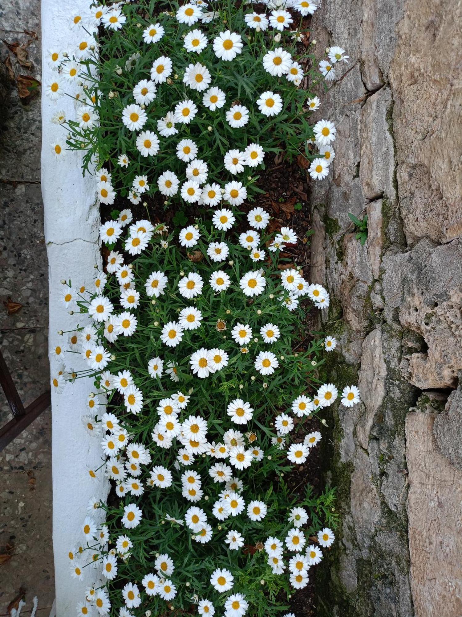 Yuekser Pansiyon Side Buitenkant foto