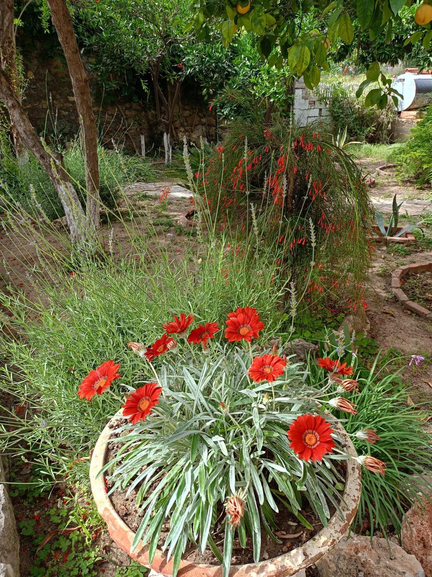 Yuekser Pansiyon Side Buitenkant foto