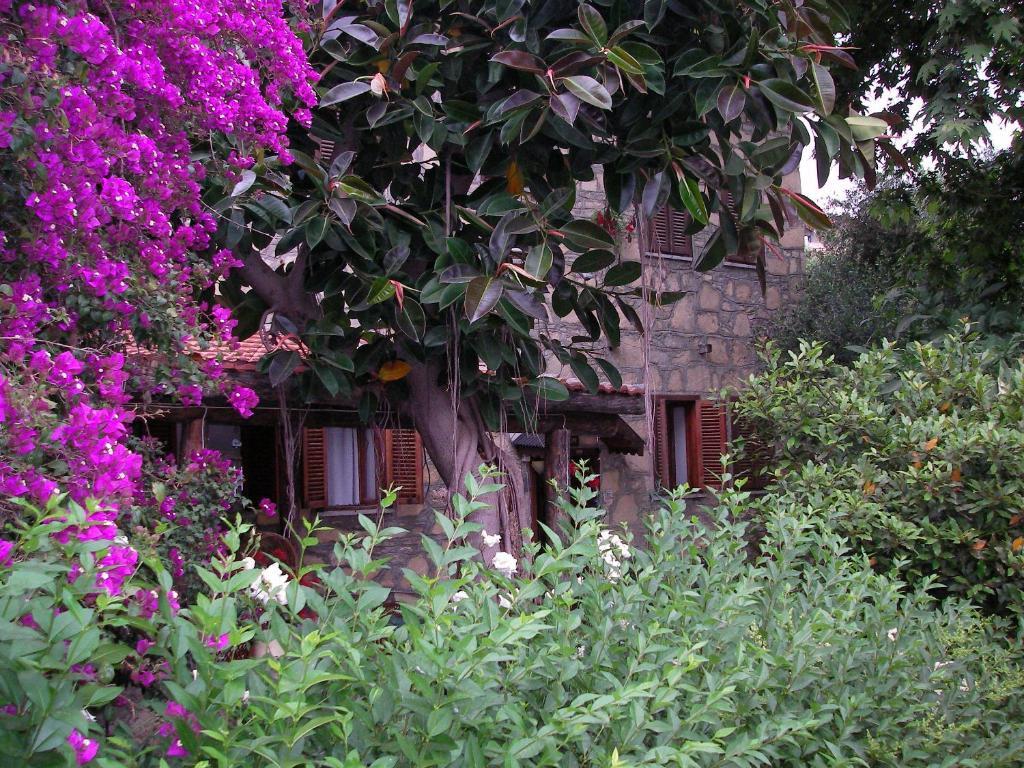 Yuekser Pansiyon Side Buitenkant foto